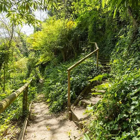 Villa Casa Da Ribeira *